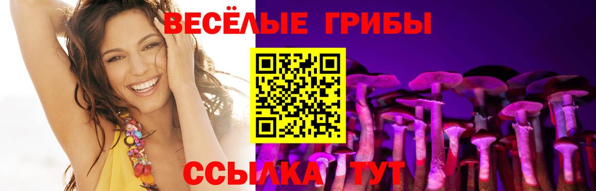 Псилоцибиновые грибы ЛСД Сочи